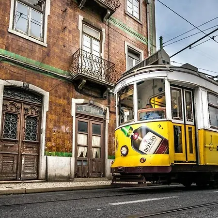 Large Elegant Flat, In Central *